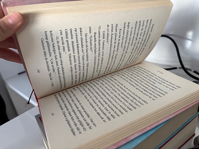 Ayçöreği serisi - Görsel 3