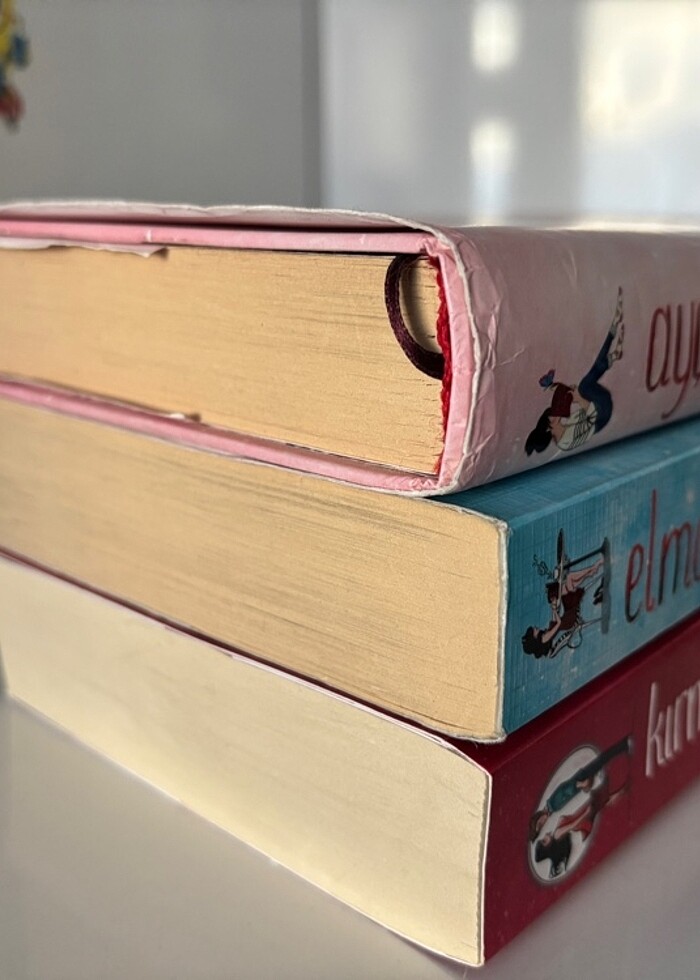 Ayçöreği serisi - Görsel 2