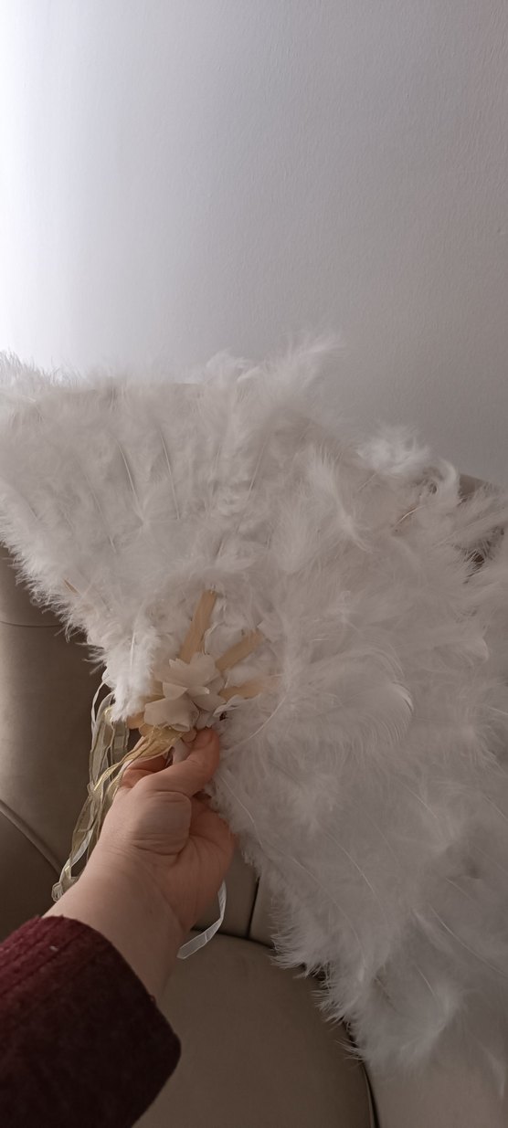 Beyaz Tüylü Gelin Yelbazesi - Görsel 4