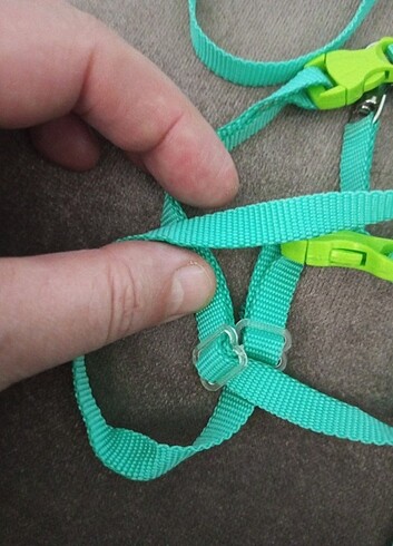 Kedi tasması - Görsel 2