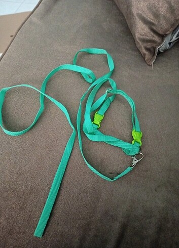 Kedi tasması - Görsel 3