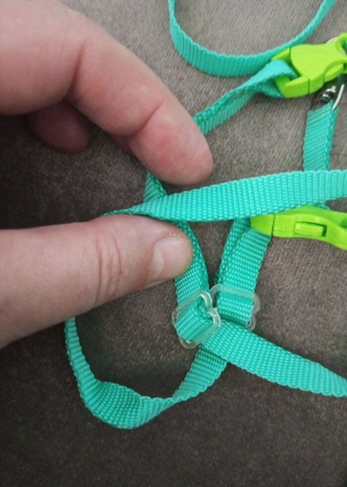 Kedi tasması - Görsel 2