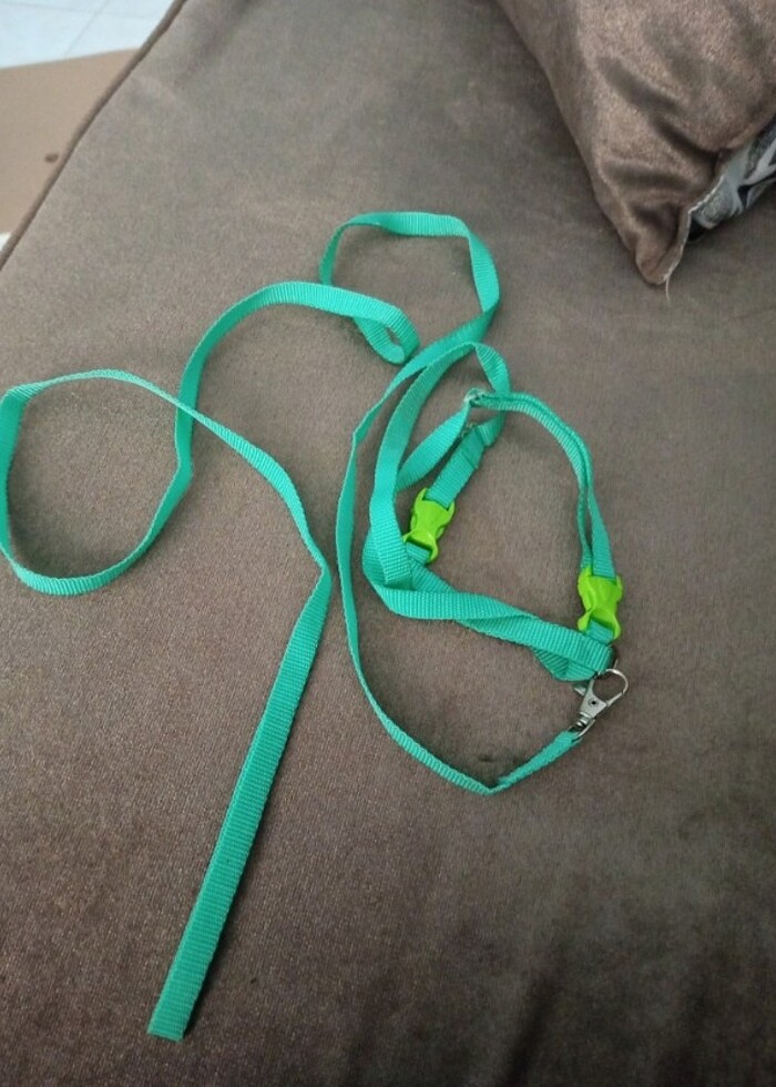 Kedi tasması - Görsel 3