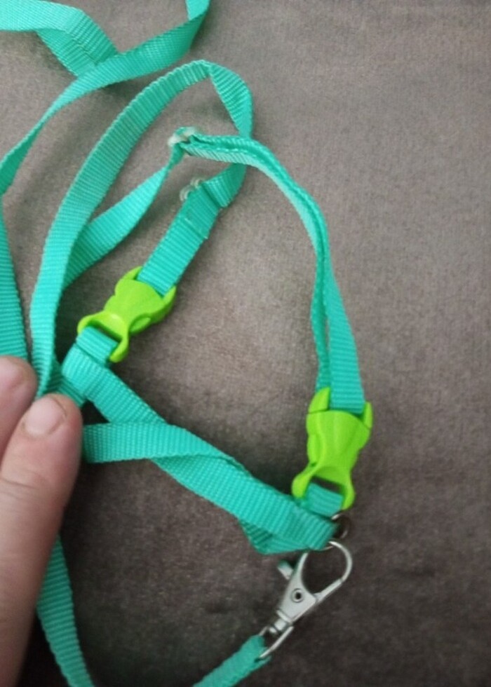 Kedi tasması - Görsel 4