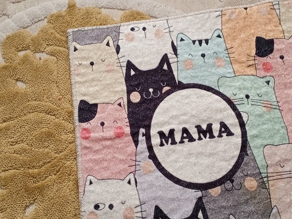 Pastel Renkli kedi mama paspası - Görsel 3