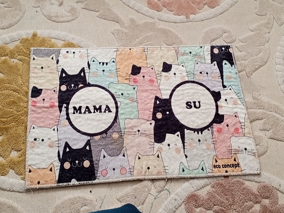 Pastel Renkli kedi mama paspası - Görsel 2