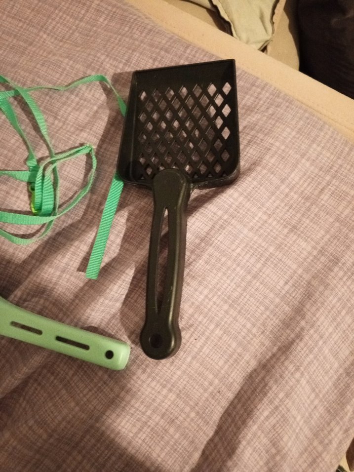 Yeşil Kedi Tuvalet Küreği ve Tasma Seti - Görsel 2