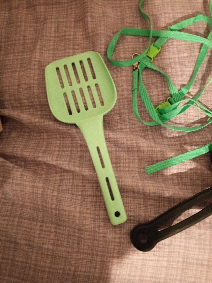 Yeşil Kedi Tuvalet Küreği ve Tasma Seti - Görsel 3