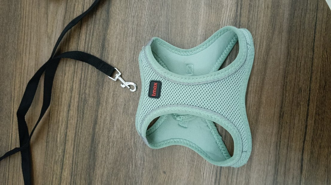 Su Yeşili Nefes Alabilir Kedi, Köpek Göğüs Tasması - Görsel 5