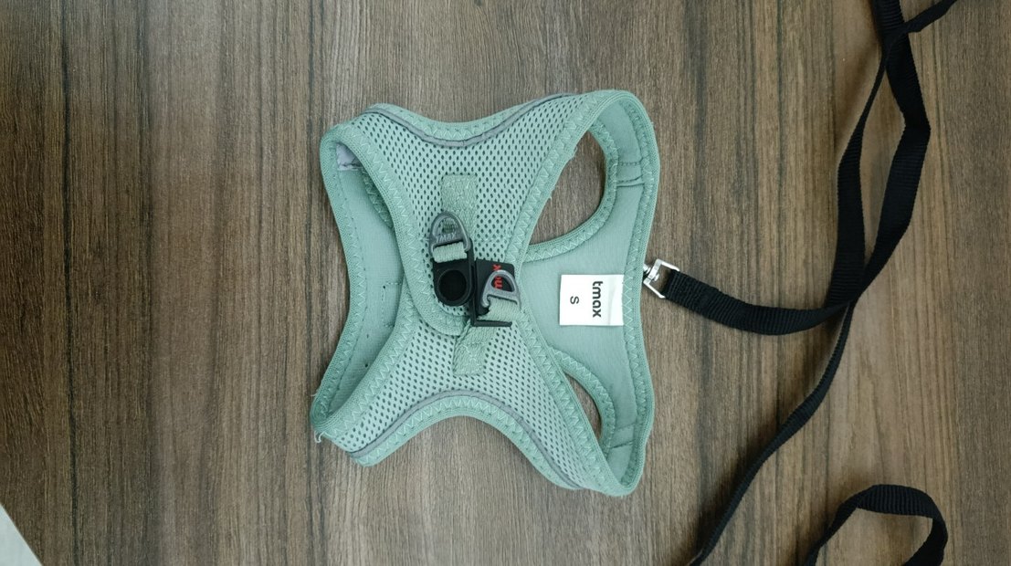 Su Yeşili Nefes Alabilir Kedi, Köpek Göğüs Tasması - Görsel 4