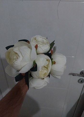 Çiçek Süs Saksı Çiçeği