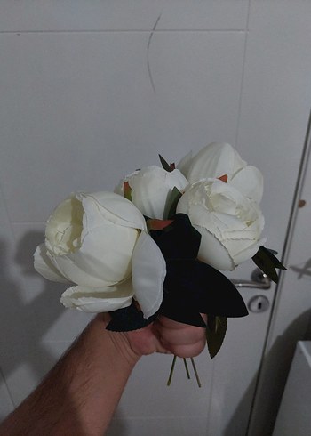 Beden Süs Saksı Çiçeği
