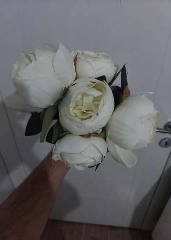 Süs Saksı Çiçeği