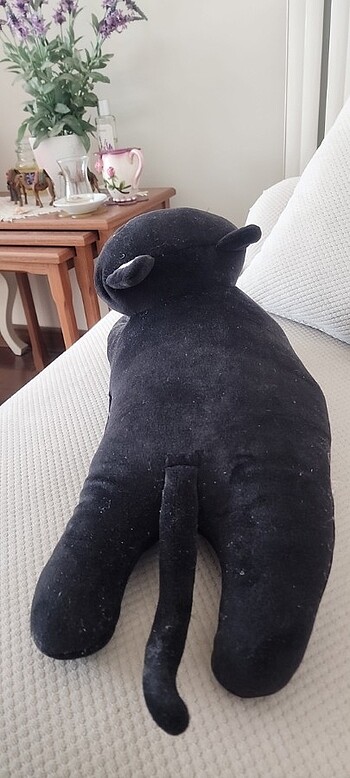 Miniso Kedi _ çok yumuşak kadifemsi dokunuş