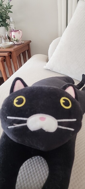  Beden Kedi _ çok yumuşak kadifemsi dokunuş