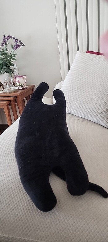 Beden Renk Kedi _ çok yumuşak kadifemsi dokunuş
