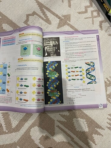  Beden palme yayinlari 9. sinif konu anlatimli test kitabi