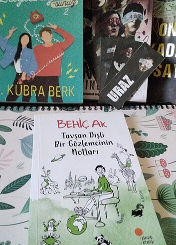 Tavşan dişli bir gözlemcinin notları