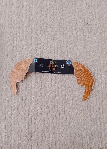 Kalp Kırıklığı Kitabı - Ova Ceren - Görsel 6