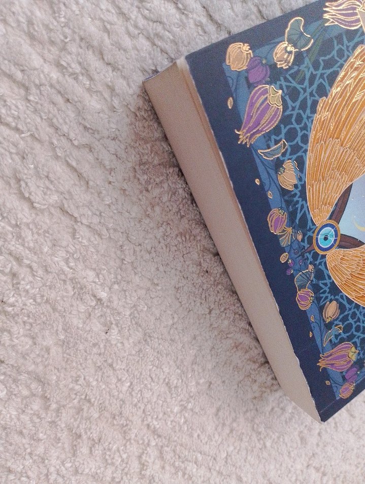 Kalp Kırıklığı Kitabı - Ova Ceren - Görsel 5