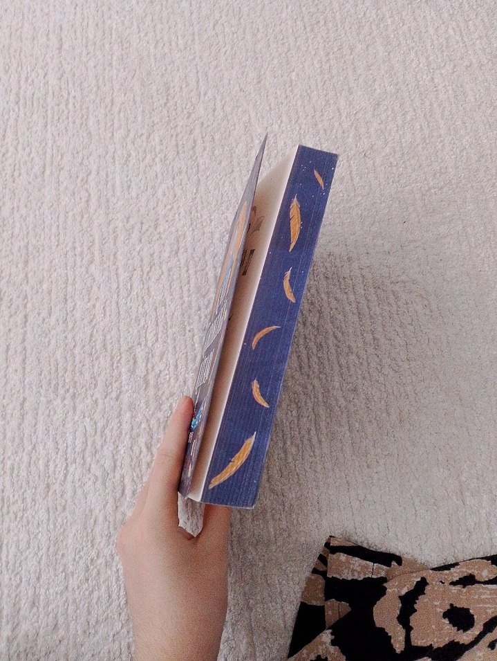 Kalp Kırıklığı Kitabı - Ova Ceren - Görsel 3