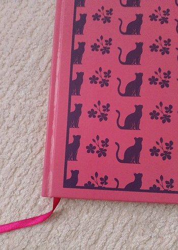 Filippo, Ben ve Kiraz Ağacı - Paola Peretti - Görsel 5