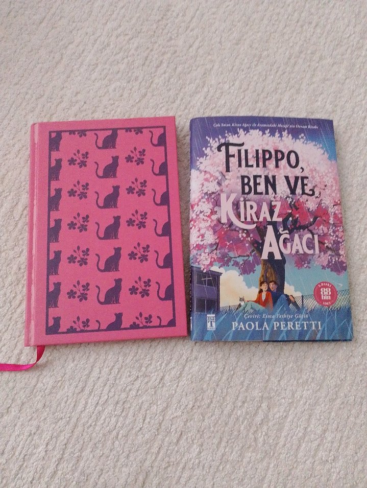 Filippo, Ben ve Kiraz Ağacı - Paola Peretti - Görsel 3