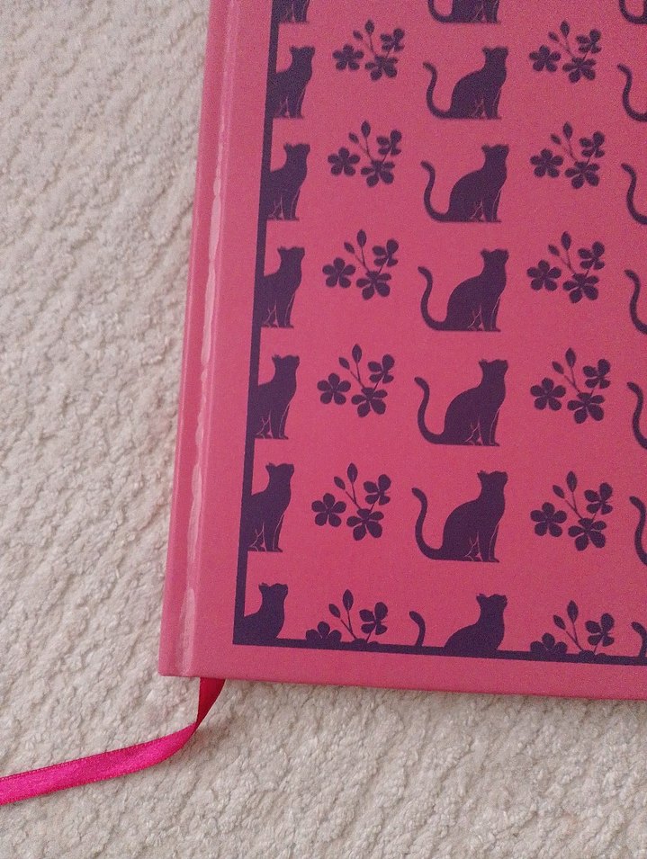 Filippo, Ben ve Kiraz Ağacı - Paola Peretti - Görsel 5