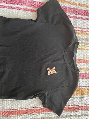 s Beden Crop / tişört temiz kullanıldı