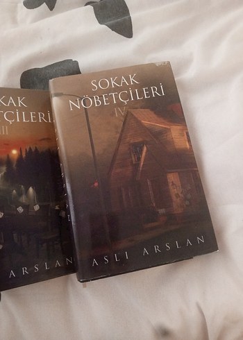 Aslı Arslan - Sokak Nöbetçileri Serisi - Görsel 5