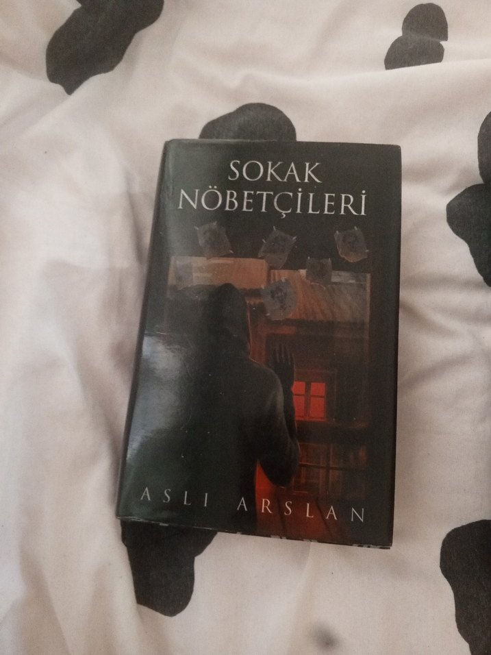Aslı Arslan - Sokak Nöbetçileri Serisi - Görsel 2