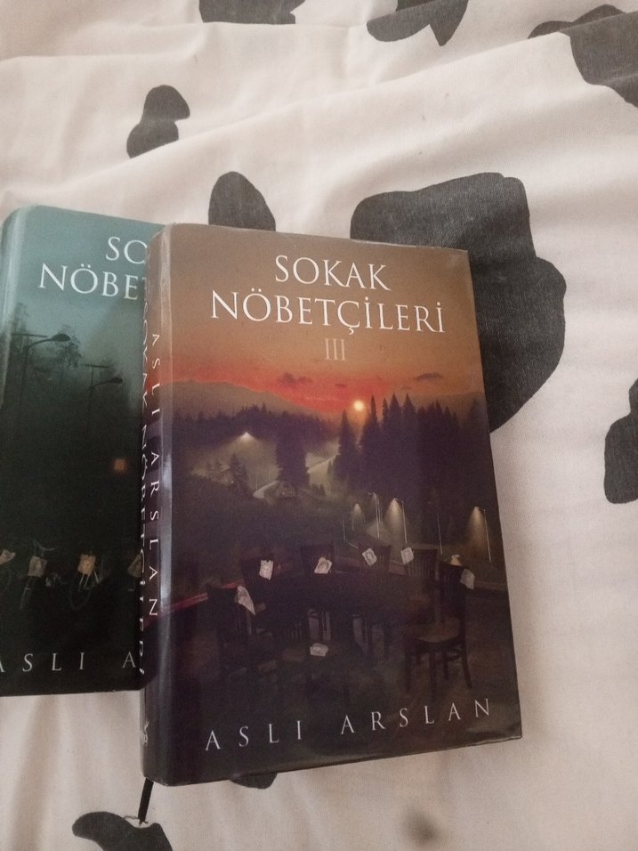 Aslı Arslan - Sokak Nöbetçileri Serisi - Görsel 4
