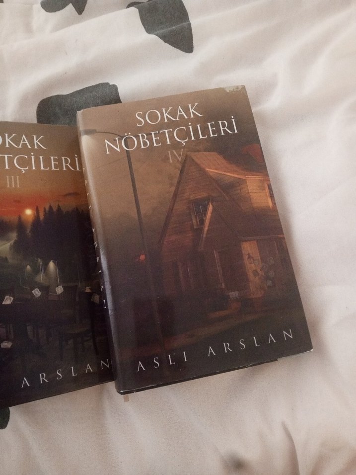 Aslı Arslan - Sokak Nöbetçileri Serisi - Görsel 5