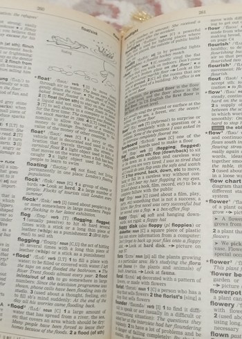 Oxford Wordpower İngilizce Öğrenenler Sözlüğü - Görsel 3