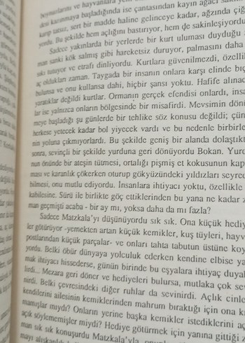 Ateşin Efendisi Saman - Harald Braem - Görsel 3