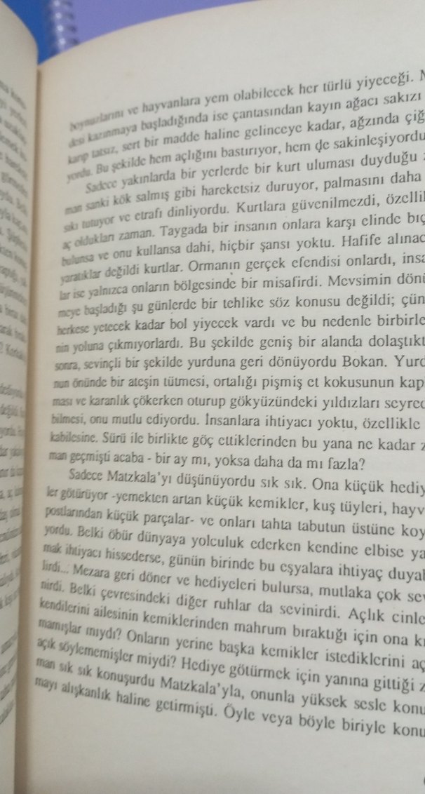 Ateşin Efendisi Saman - Harald Braem - Görsel 3