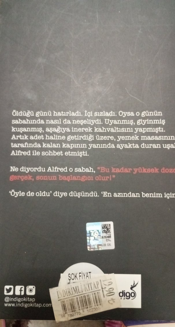 Geçmişe Dönüş - Şükrü Soydun - Görsel 2