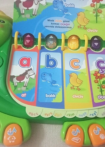 Beden Renk EGİTİCİ OYUNCAK