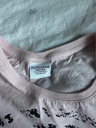 U.S Polo Assn. Tişört