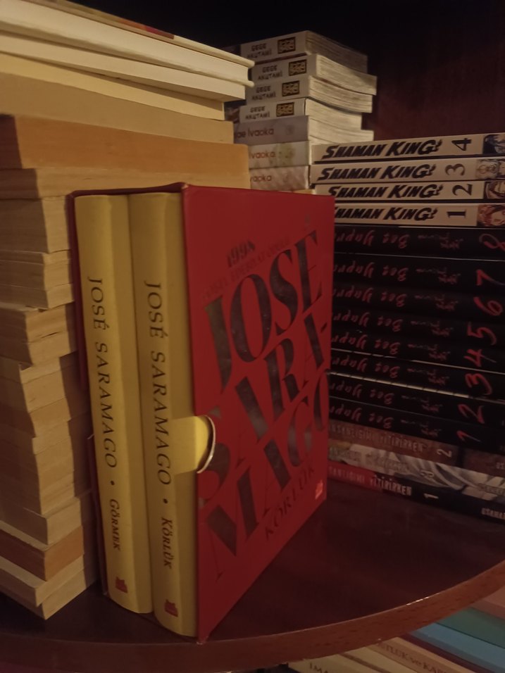 José Saramago - Gormek & Körlük Roman Seti - Görsel 3