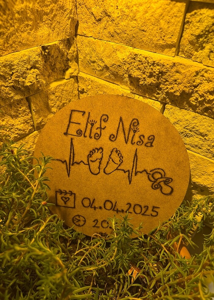 Doğum Panosu - Görsel 3