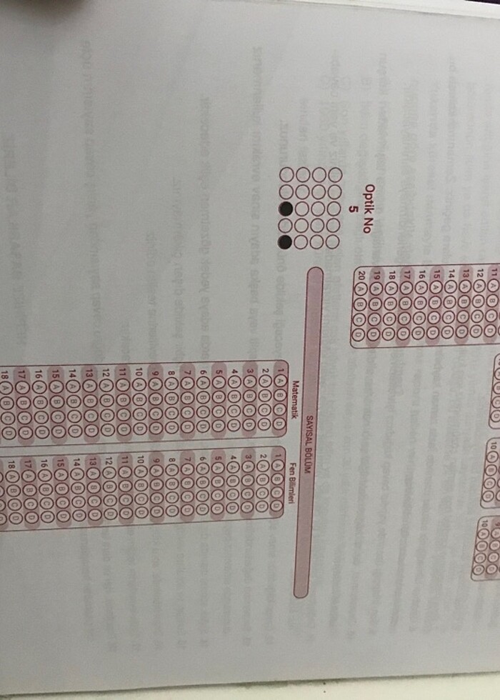 DNM plus 8. Sınıf deneme kitabı - Görsel 4