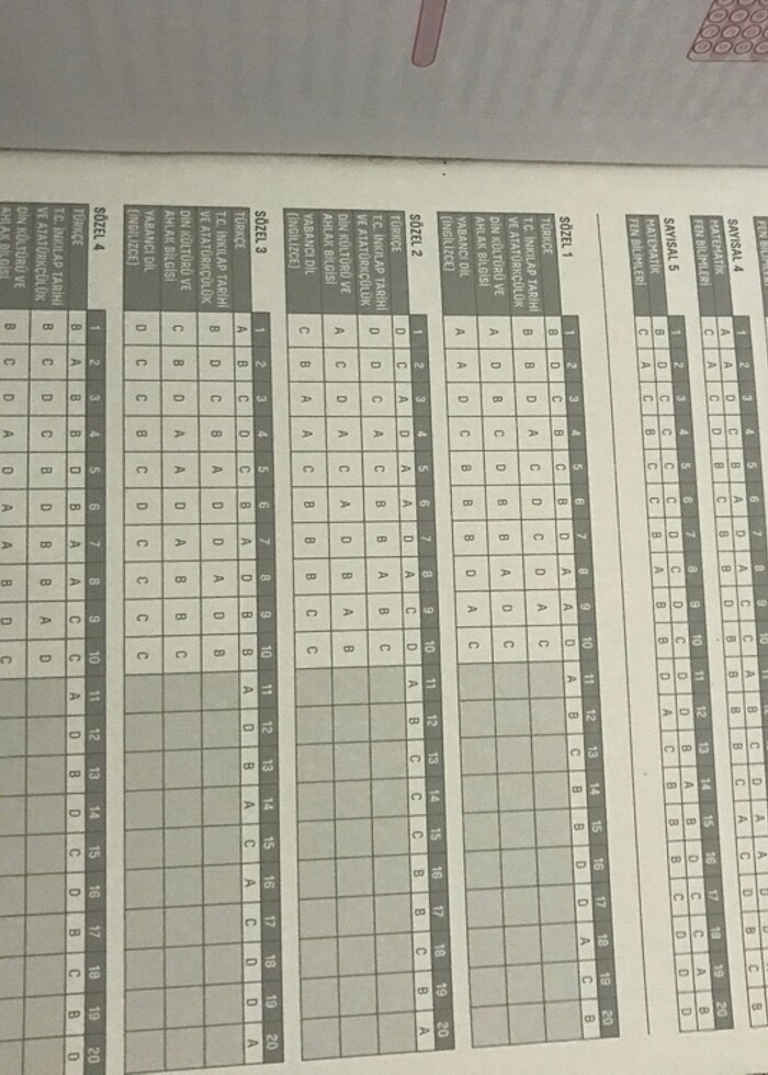 DNM plus 8. Sınıf deneme kitabı - Görsel 5