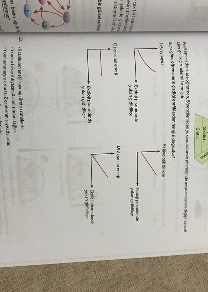 Start fen fen bilimleri kampı 8. Sınıf - Görsel 4