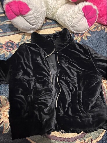 pofuduk crop mont
