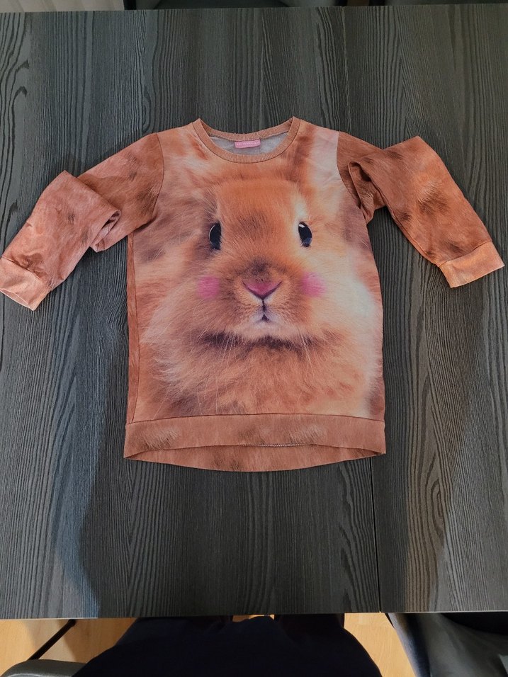 Kız Çocuk Tavşan Baskılı Sweatshirt - Görsel 2