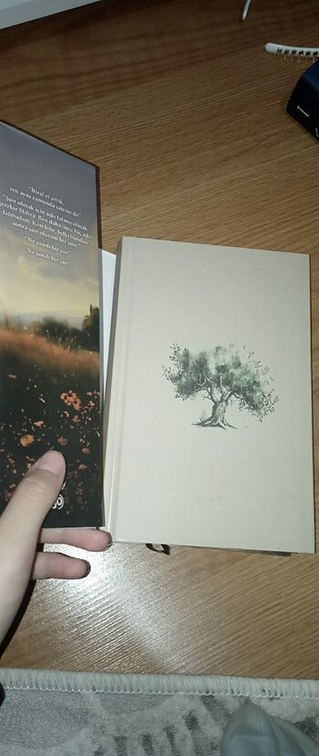 Beden İs kokan zeytin ağacı (ciltli)