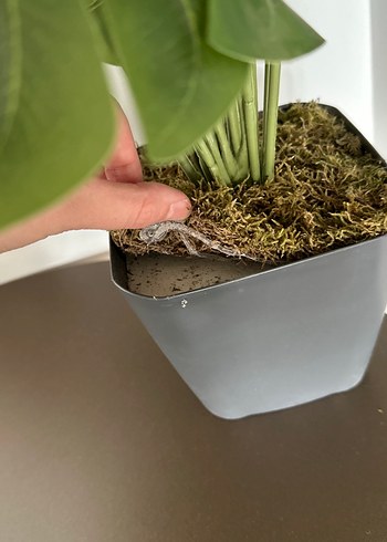 Beden Yeşil Dekoratif Yapay Bitki Saksıda