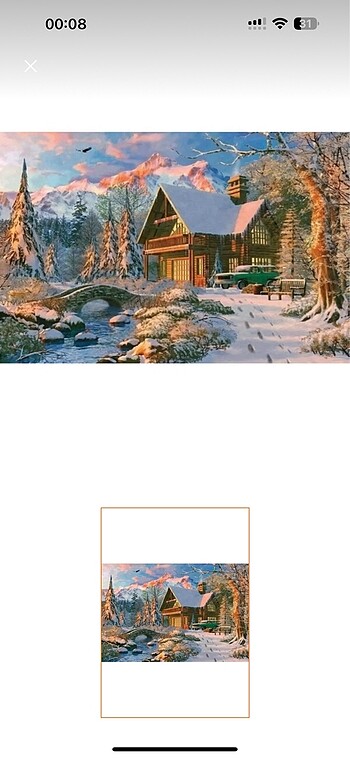 1000 parça puzzle