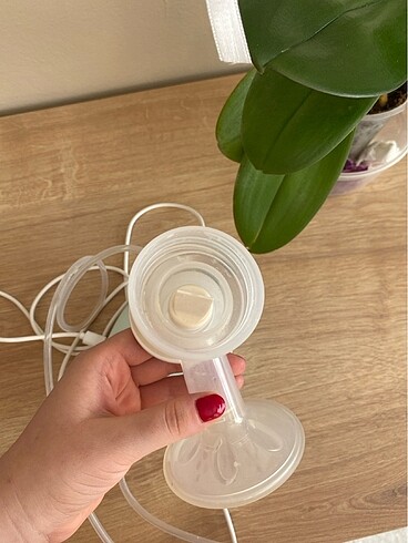 Beden Philips avent süt sağma makinesi